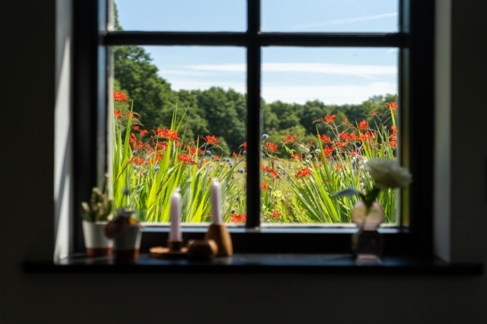 uitzicht vanuit de keuken